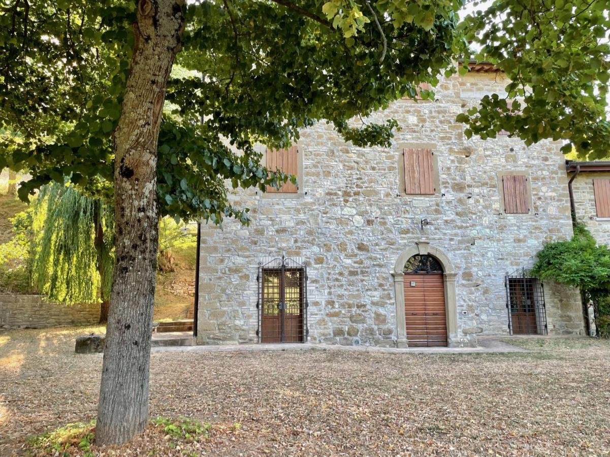 Sambuco Di Sopra Apartment Fratticciola Selvatica ภายนอก รูปภาพ