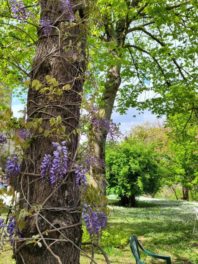 Sambuco Di Sopra Apartment Fratticciola Selvatica ภายนอก รูปภาพ